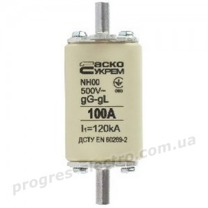 Запобіжник плавкий NH00 100A gG