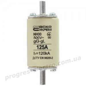 Запобіжник плавкий NH00 125A gG