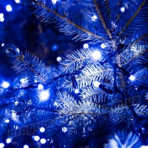 Гірлянда вулична STARLIGHT лінійна синій 100LED IP44 чорний 5м