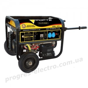 Генератор бензиново-газовий FG LPG 6500E